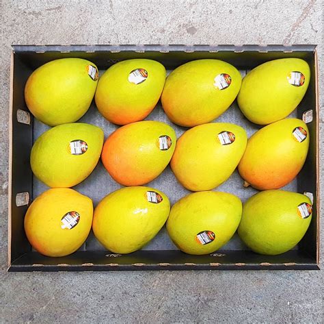 Mangoes Tray Kensington Pride Bowen Fruit Best Eating Best At