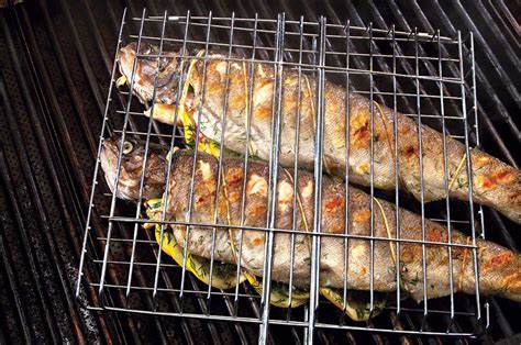Barbecued Rainbow Trout Fillet Recipe Bryont Rugs And Livings