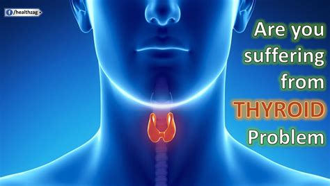 Signs That You Could Have An Underactive Thyroid Healthprimetips