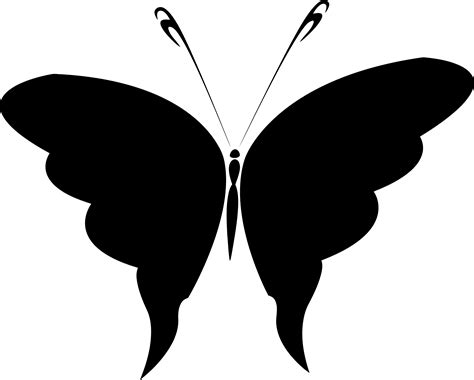 Butterfly Silhouette Images At Getdrawings Free Download