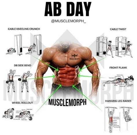 Pin By Ali Wishus On You Lift Bro Total Ab Workout Abs Workout
