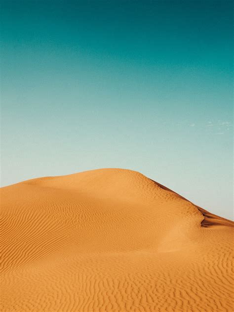 Desert Field Photo Free Desert Image On Unsplash