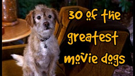 30 Of The Greatest Movie Dogs Youtube