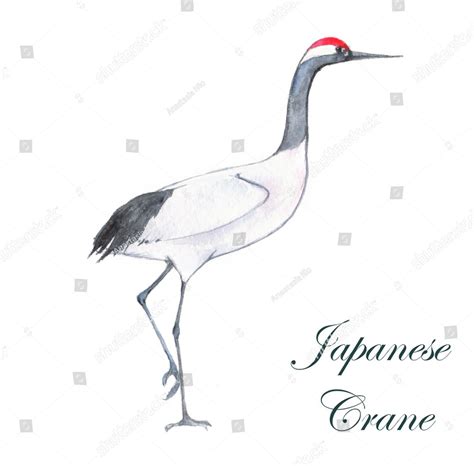 Japanese Crane Sketch At Explore Collection Of