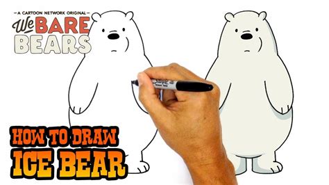 How To Draw Ice Bear We Bare Bears Youtube We Bare Bears Ice