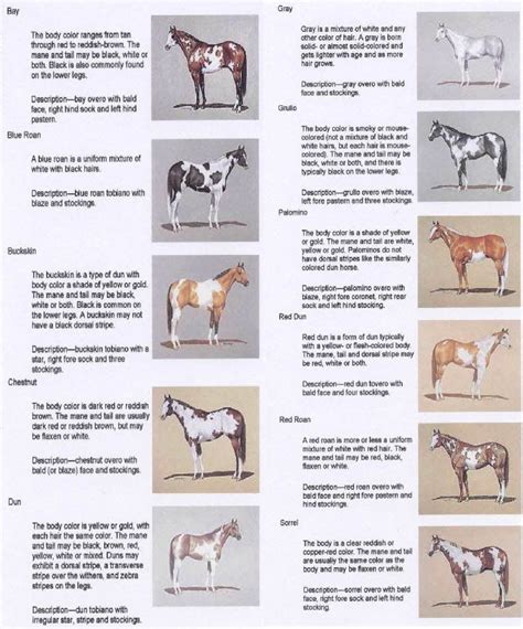 Check spelling or type a new query. Pin on Every barn needs a little paint