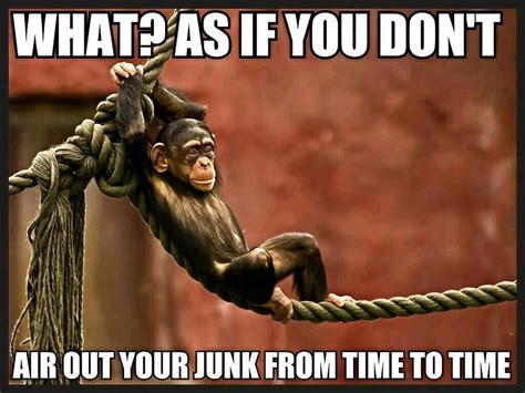 47 Very Funny Monkey Memes Images Pictures S