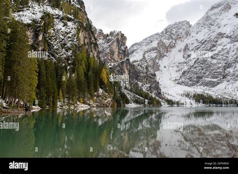 Picturesque Scenery Of Lago Di Braies Lake Surrounded By Evergreen