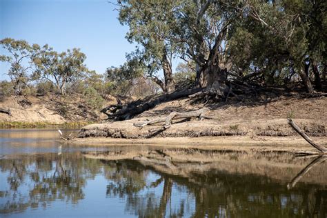 Four Mile Reserve The Darling River Run