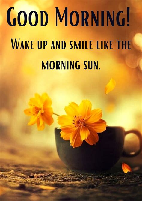 25 Beautiful Good Morning Sunshine Images With Quotes