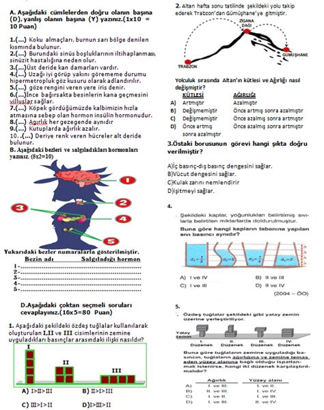 7sınıf Fen Ve Teknoloji 1dönem 2yazılı Soruları 2015 2016 Sorubak Blog