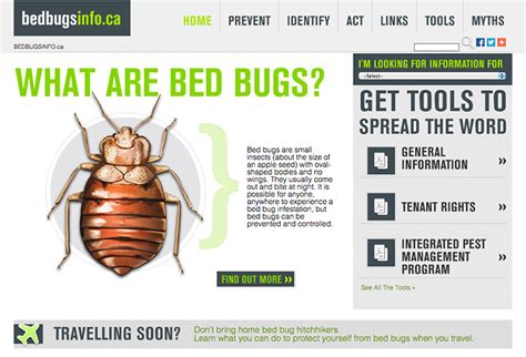 Bed Bugs In Canada A Rising Crisis For Canadians