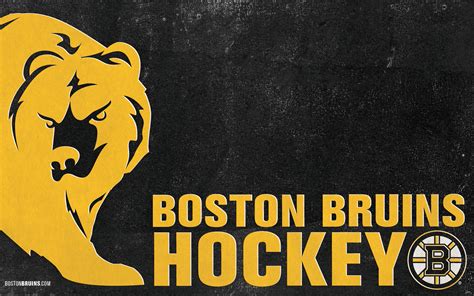 Bruins Logo Boston Bruins Wallpaper 22238070 Fanpop