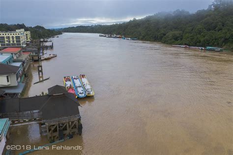 Kapit Wharf Rajang River Sarawak Borneo Lars Fehlandt • Wildlife
