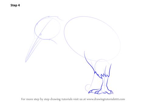 Please enter your email address receive free weekly tutorial in your email. Learn How to Draw a Kiwi (Birds) Step by Step : Drawing ...