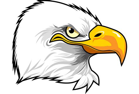 Cartoon Eagle Drawing At Getdrawings Free Download