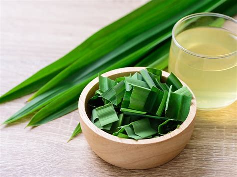 What Is Pandan Benefits Uses Taste And Substitutes