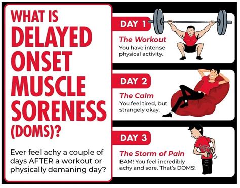 What Causes Muscle Soreness Days After A Workout