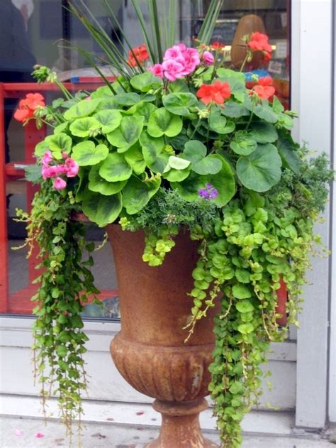 Spectacular Container Gardening Ideas 45 Outside Container