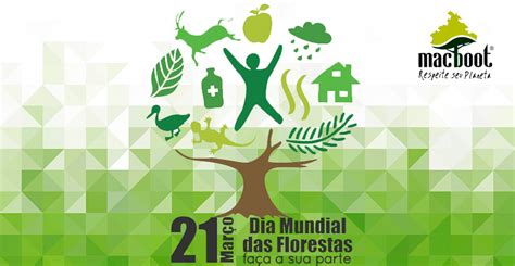 Dia Internacional Da Floresta Frases E Música Para Comemorar Blog