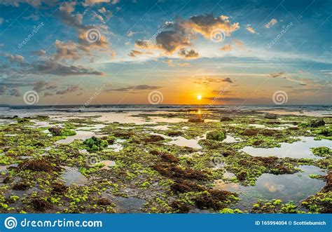 Sunset View On Batu Bolong Beach Bali Stock Photo Image Of Beach