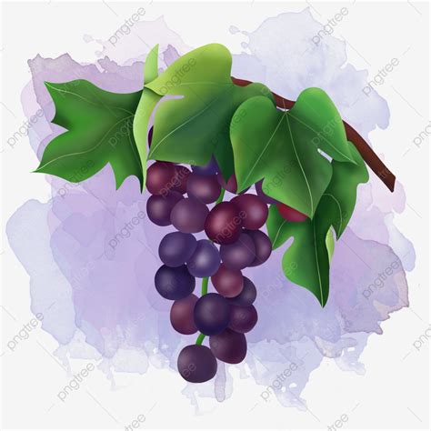 Clipart Raisins 20 Free Cliparts Download Images On Clipground 2023