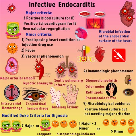 Pathology Of Infective Endocarditis Pediatric Nursing Cardiac