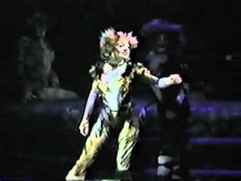 On the scor americas' nat cat team, research projects take place over several months to a year. CATS - US National Tour IV - Grizabella: The Glamour Cat ...