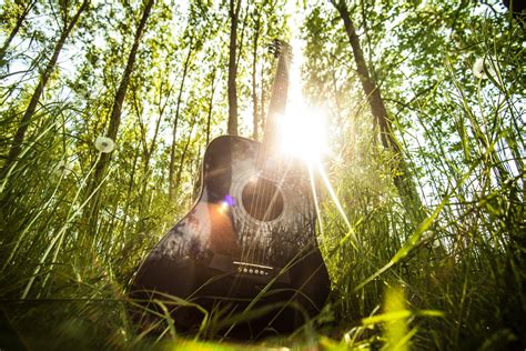 Guitar In Forest Free Stock Photo Public Domain Pictures