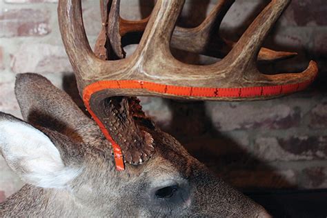 How To Score Your Buck With Trophy Tape North American Whitetail