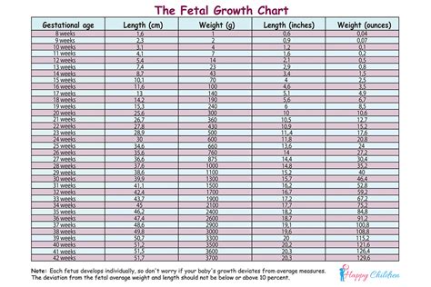 Fetal Weight Chart By Week In Kg
