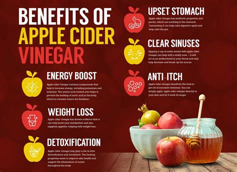 Health Benefits Of Apple Cider Vinegar In 2020 Fitness Bright