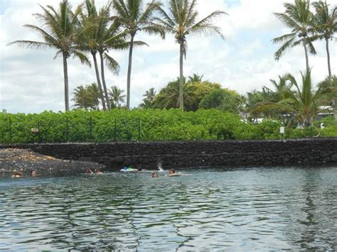 The Kapoho Tide Pools Are A Short Drive Away From Hale Lezarde We Love