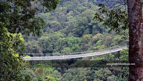 China zhangjiajie cayon adalah jembatan yang tidak hanya panjang akan tetapi juga memiliki ketinggian yang fantastis hingga mencapai 300 meter di atas permukaan tanah. Mencoba Sensasi Jembatan Gantung Terpanjang di Indonesia ...