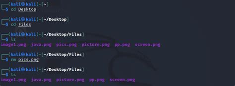 Kali Linux Basic Command For Beginner Realtreat