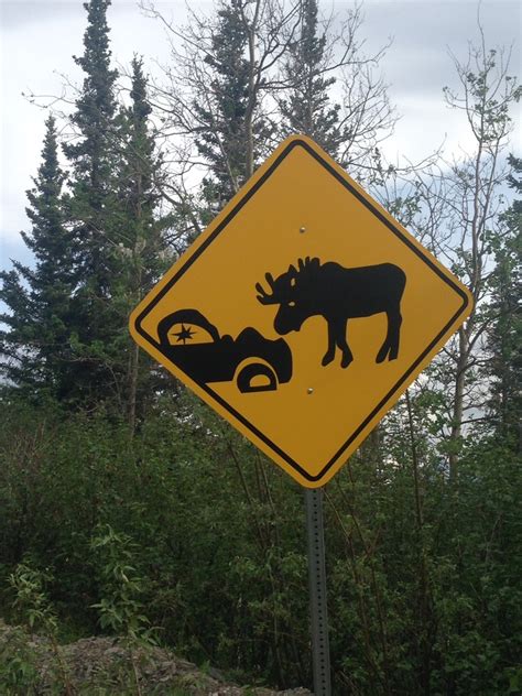 Alaskan Road Signs Guide Drivers Past Mosquito Abduction Falling
