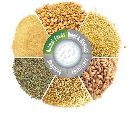 Rules for proper animal nutrition - La Meccanica