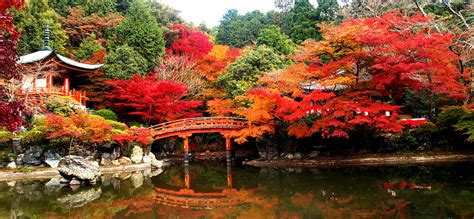 Japanese Autumn Daigo Ji Temple Daigo Ji Temple Kyoto Th Flickr