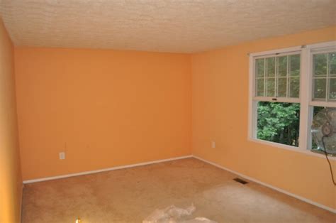 Remove painted ceiling stipple safely from drywall, wood, and more: How to Remove a Stipple Ceiling by Sanding - One Project ...