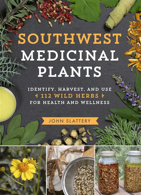 Southwest Medicinal Plants | Edible Phoenix