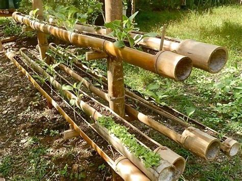 Bamboo grows very differently in this game. USING BAMBOO FOR GUTTER GARDENS - Google Search | Gutter garden, Bamboo garden, Bamboo planter