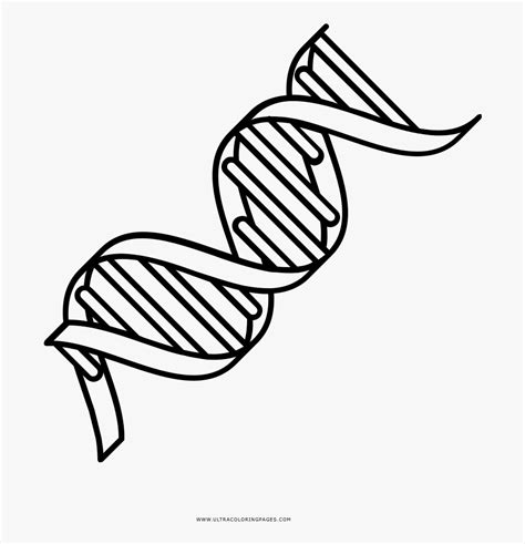 Download our zentangle dna coloring page! Dna Coloring Page - Dupla Helice Dna Para Colorir ...