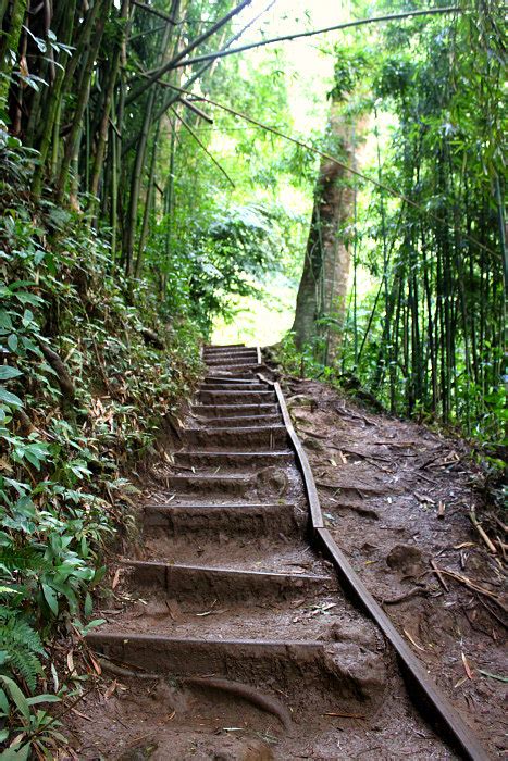 There is only one way in and one way out, and the exit is always staffed. Hiking Manoa Falls