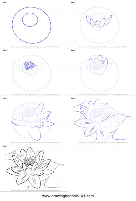 Image Result For Water Lily Drawing Step By Step Flower Drawing