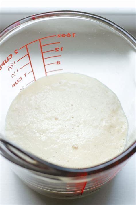 Watch the video with the recipe at the long story short, don't get rabies when making pizza at home with store bought dough. How to Proof Yeast and Let Dough Rise | Proofing bread ...