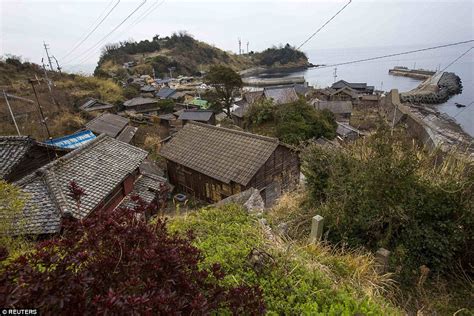 Japans Aoshima Island Cats Outnumber Humans Six To One Daily Mail Online