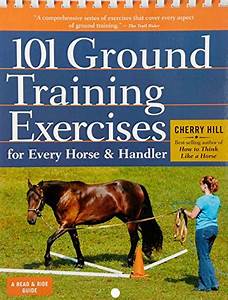 Horse Speak An Equinehuman Translation Guide Conversations With