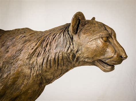 Bronze Cheetah Sculpture 3 Nick Mackman Animal Sculpture