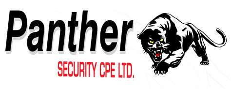 13mp Outdoor Station Panther Cpe Security