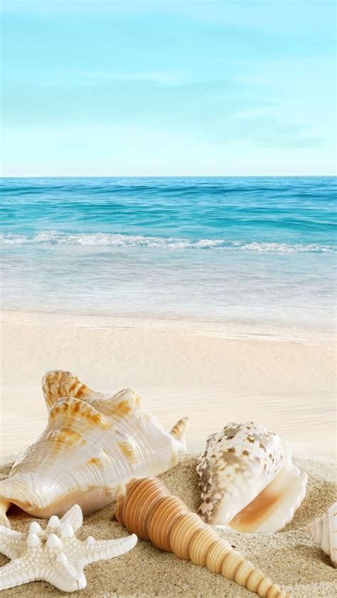 Find great deals on ebay for theme wallpaper border. Nature Sunny Ocean Seaside Beach Shells #iPhone #5s ...
